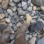 Uncovering Wellington’s Hidden Gems: A Local’s Guide to Off-the-Beaten-Path Treasures